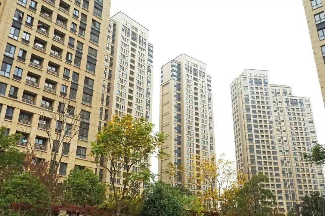 鹿城区公租房最新消息发布,更新动态与新闻汇总