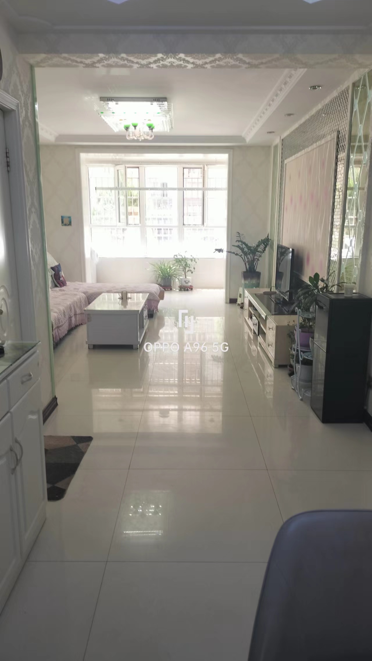 灵寿最新二手房出售消息及最新动态概览