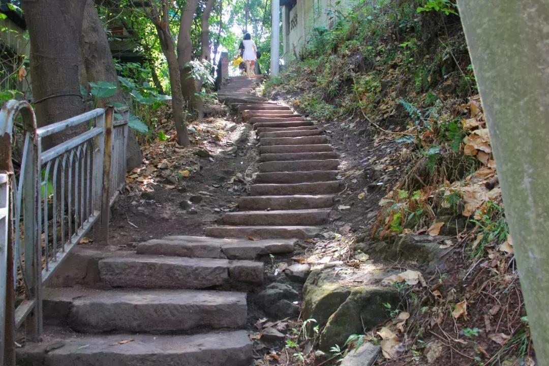 马鞍山轻轨最新规划图曝光(2020年版)