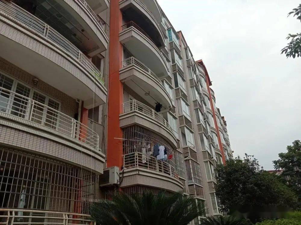 蓬安房屋出租最新消息汇总