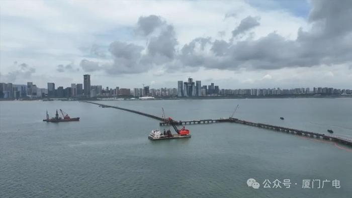 金厦大桥最新进展及开工动态更新