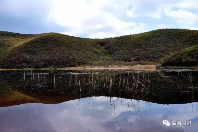 庄浪县郑河乡最新动态概览