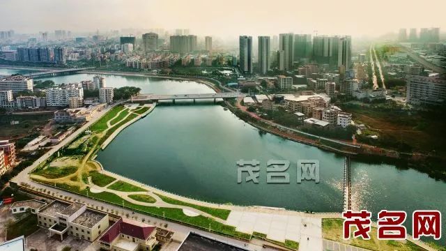 2016金珍堂最新消息及视频发布