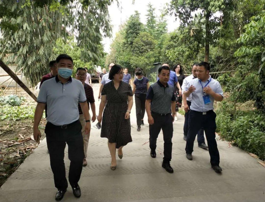 成都郫都区疫情最新消息更新