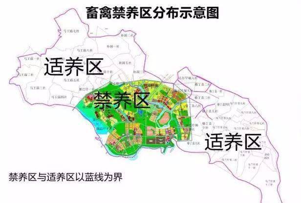 甘肃禁养区最新动态查询及消息更新