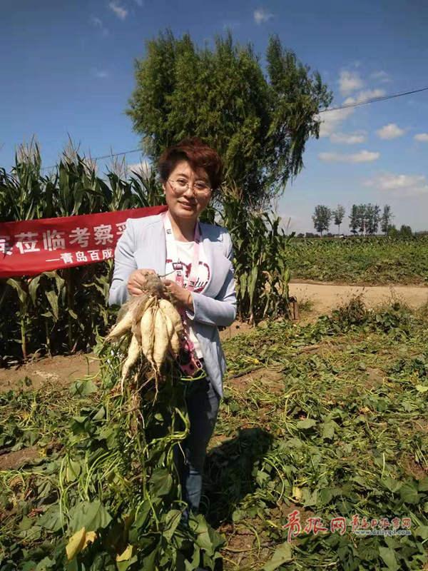 青岛地铁九号线最新消息更新,今日动态揭秘