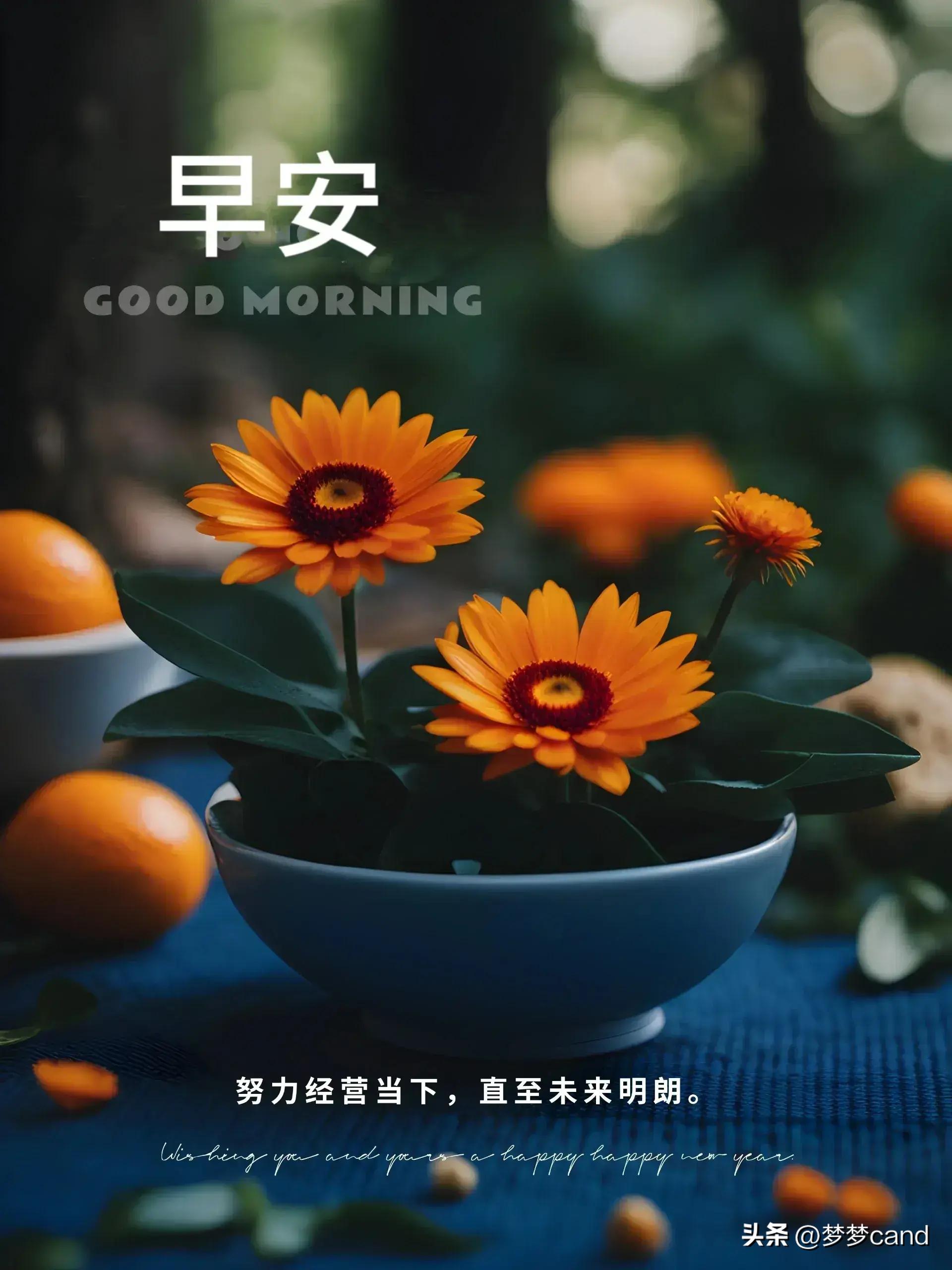 2024天天彩正版资料大全,时代资料解释落实_ios62.96.59