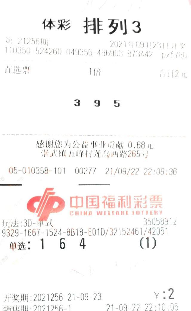 2024天天彩资料大全免费,动态词语解释落实_3D75.42.69