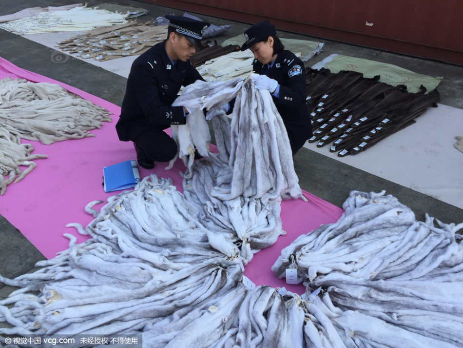 澳门正版资料大全资料生肖卡,动态词语解释落实_WP24.98.84