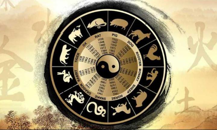 刘伯温全年料精准四肖选一肖,效率资料解释落实_iPad46.31.40