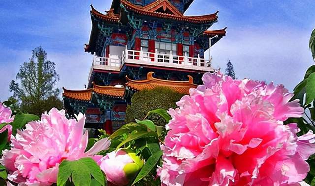 澳门天天彩期期精准龙门客栈,澳门彩市精准攻略揭晓_超清版2.67