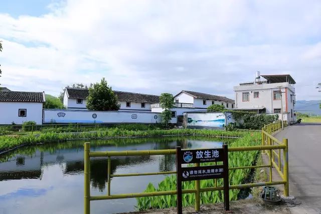 广东农村选举条例最新规定(2017年出台)