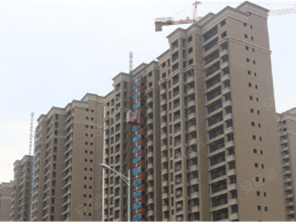 吉安城建花苑最新动态速递,揭秘最新消息与新闻