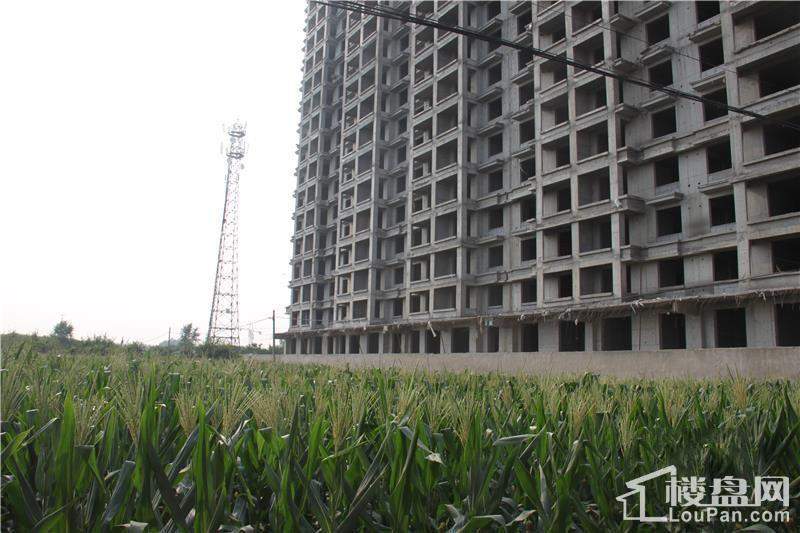 宏升君天下最新动态与楼盘详情揭秘