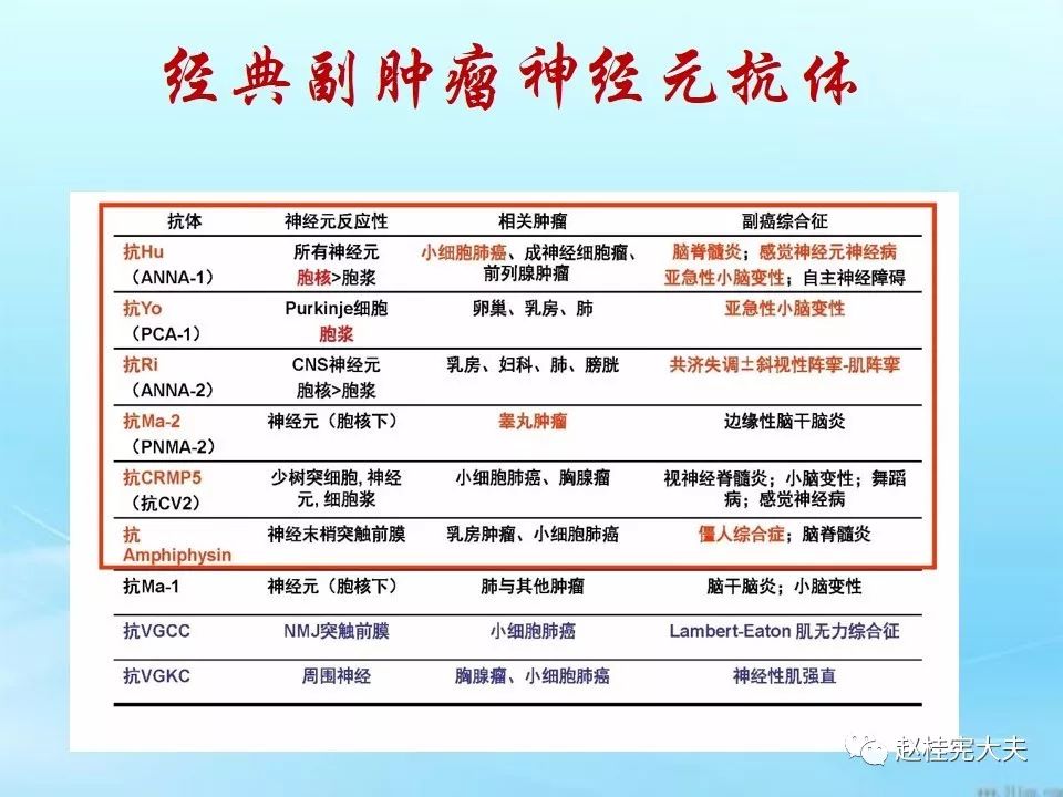 快速设计响应解析:新奥正版全年免费资料_XE版93.9.60