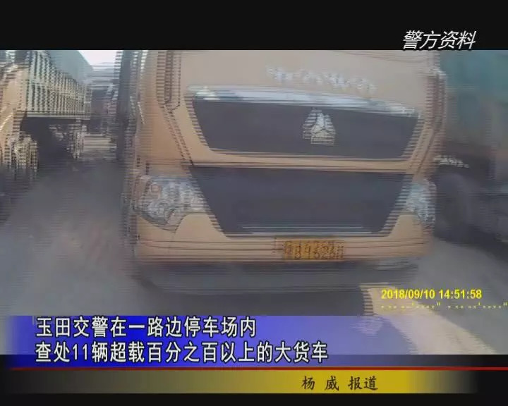 动态词汇解析:最准一肖一.100%准_Z11.34.8