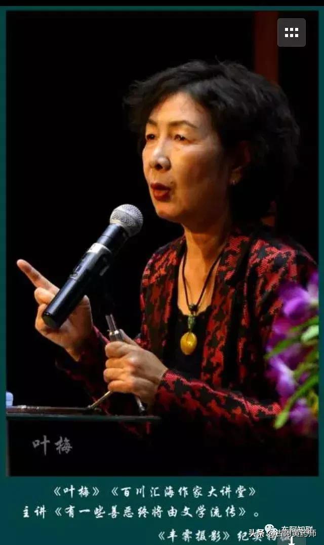 百川鱼海最新小说及全部小说概览