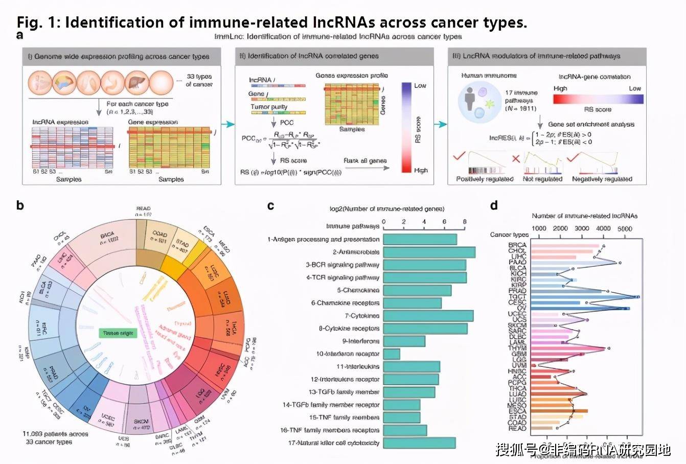 高效性实施计划解析:新奥最快最准免费资料_3D40.74.42