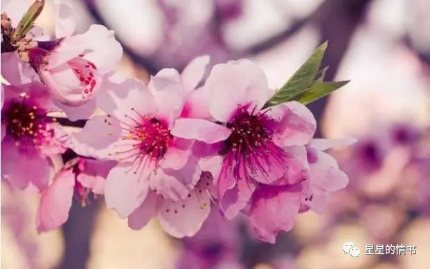 适用解析计划方案:香港免费大全资料大全_HD47.38.29