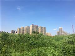 滨康综合体最新进度及方案公示曝光