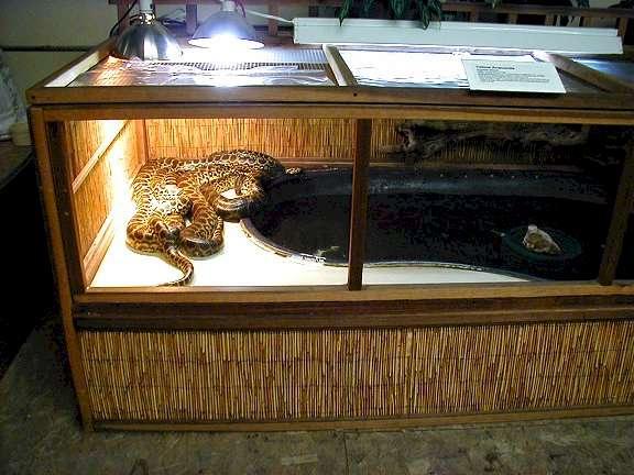 金鸡独立 第9页