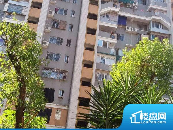 长寿区房价动态更新,最新一手与二手房价消息汇总