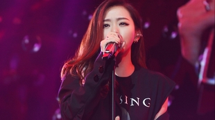 张冬玲最新演唱会视频公开,精彩演出不容错过