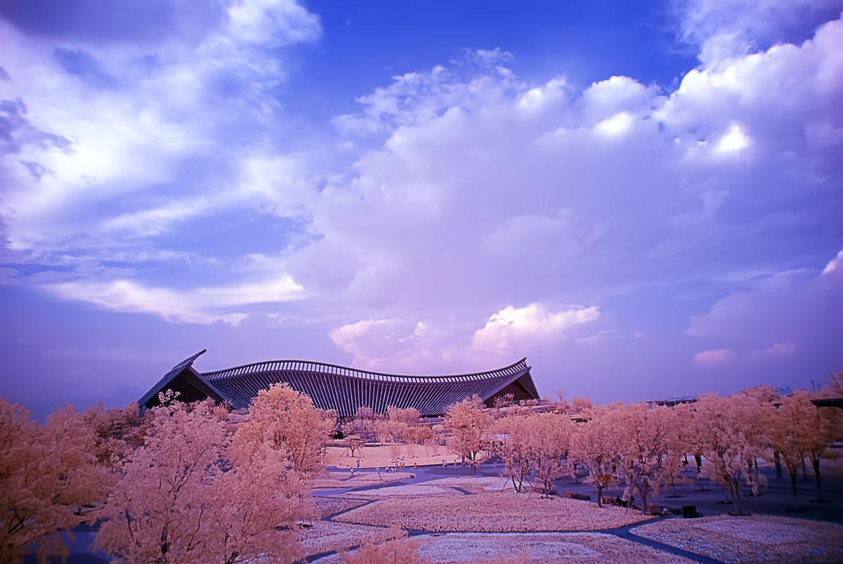 射手座最新一周运势详解及查询结果分析