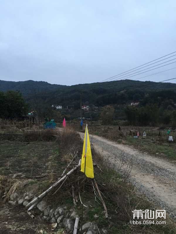 莆田西音水库最新消息更新,权威新闻来源带您了解最新动态