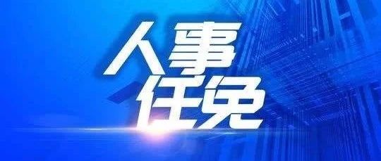 南川区最新人事任免消息发布