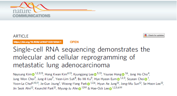 新澳门内部资料精准大全,预测解答解释落实_Prestige14.653