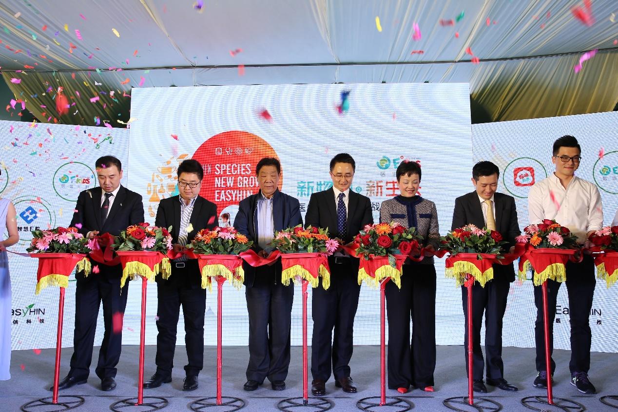 香港内部资料一码一码,科学解答解释落实_战略版3.324