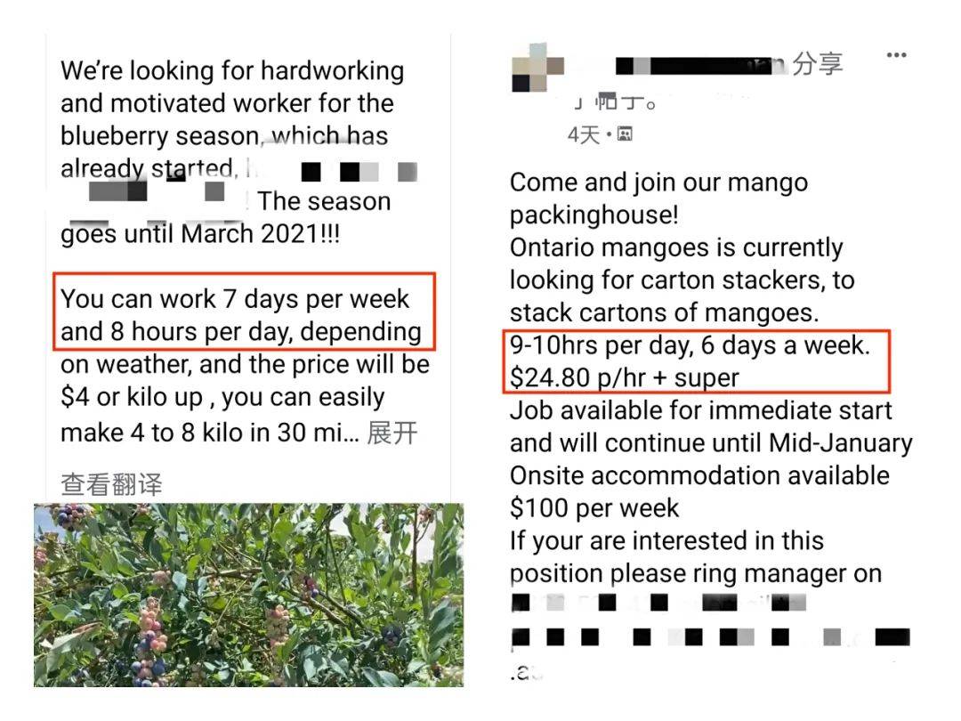 新澳资料大全正版资料2024年免费下载,职能解答解释落实_soft23.254