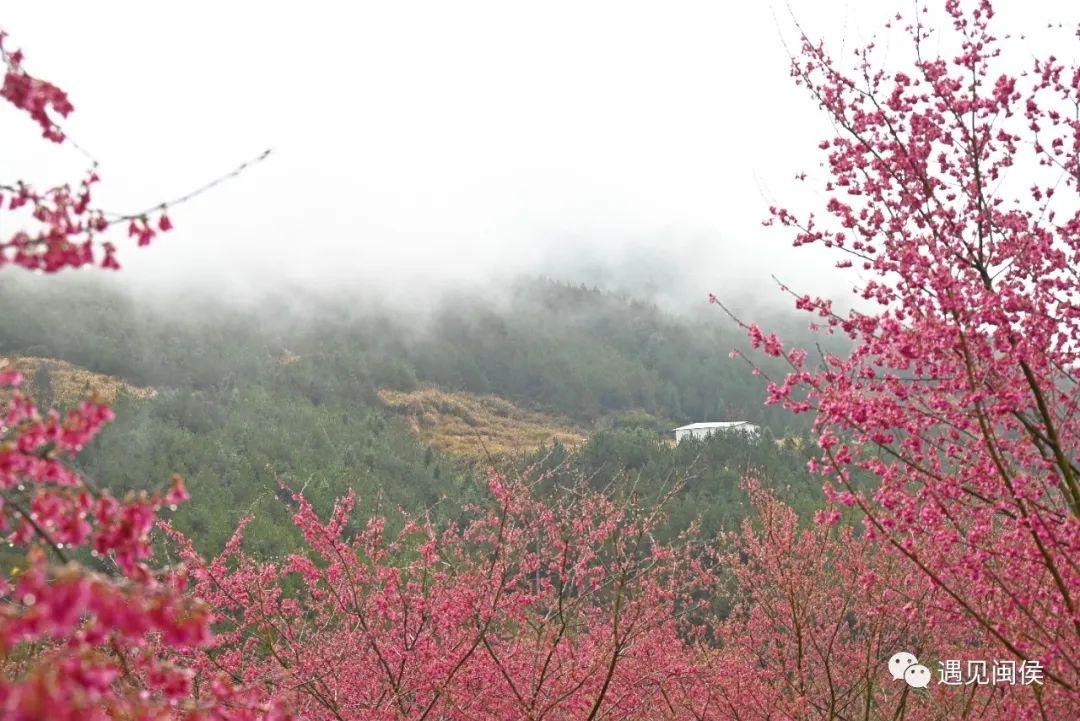 广州新塘最新新闻报道更新