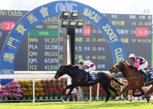 马会传真一2024澳门,理论解答解释落实_Hybrid16.132