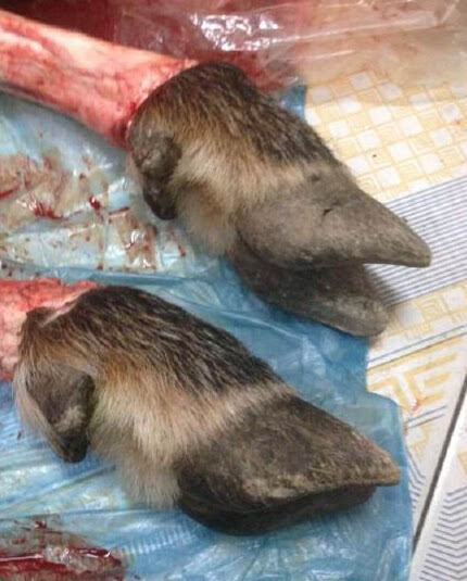 921212四不像論壇,描述解答解释落实_豪华款89.289