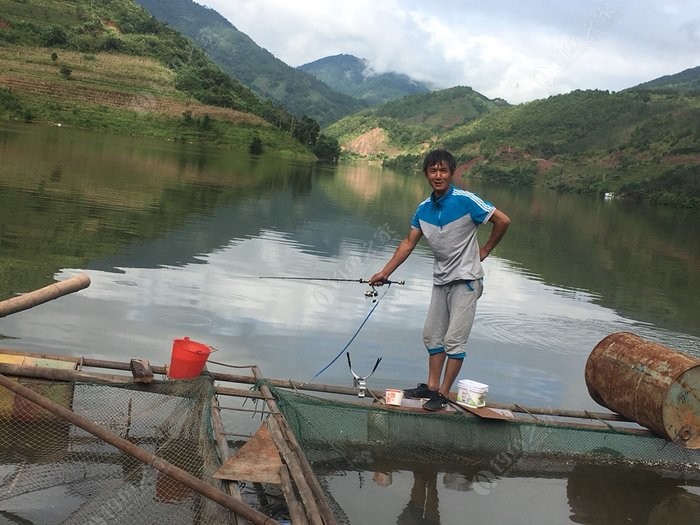 最新泗南江钓鱼情况揭秘,独家视频呈现!