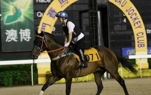 新澳门内部一码精准把握完美揭秘投注策略_智能版92.356