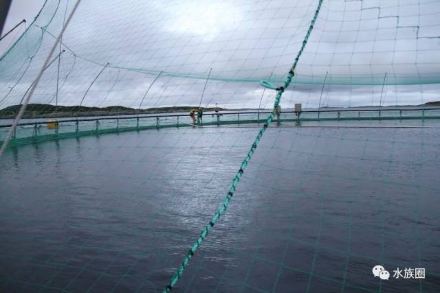 挪威海上渔场最新进展概览