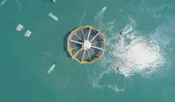 挪威海上渔场最新进展概览