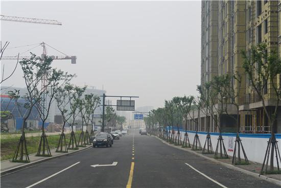 杭州桃源新区最新动态速递