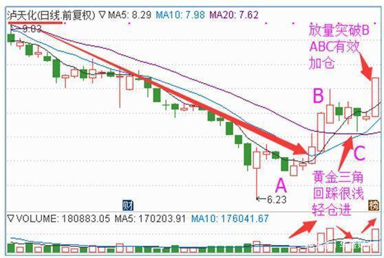 2024年新奥正版资料完全解析掌握最新趋势与技巧_BK98.154