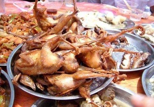 最新冷菜菜谱大全及图片欣赏