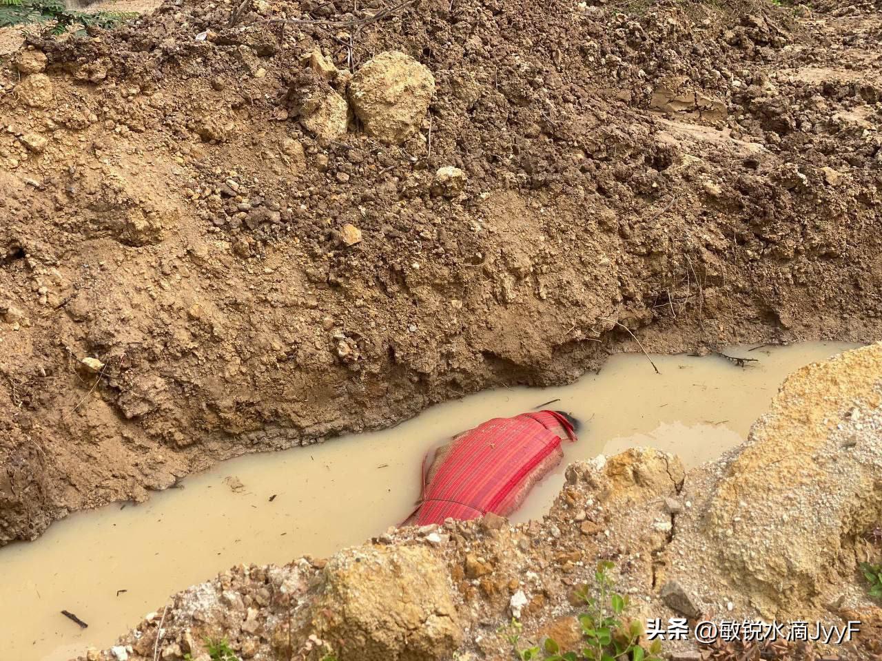 最新女性尸检图片大全,细致呈现,深入解析