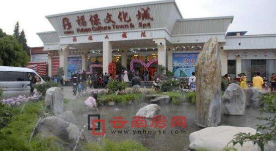 福保村最新动态概览,最新消息一览无余