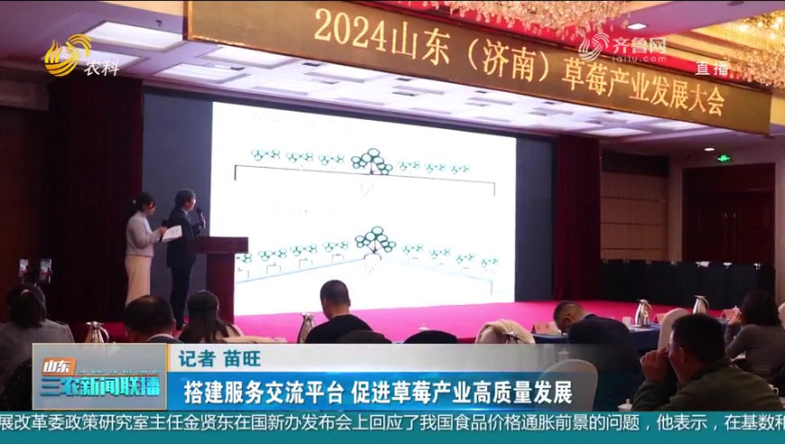 2024年香港资料正版大全,数据解答解释落实_升级版59.797