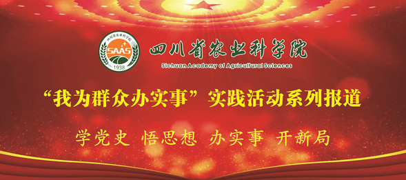 凤凰高手资料论坛中心,及时解答解释落实_The67.044