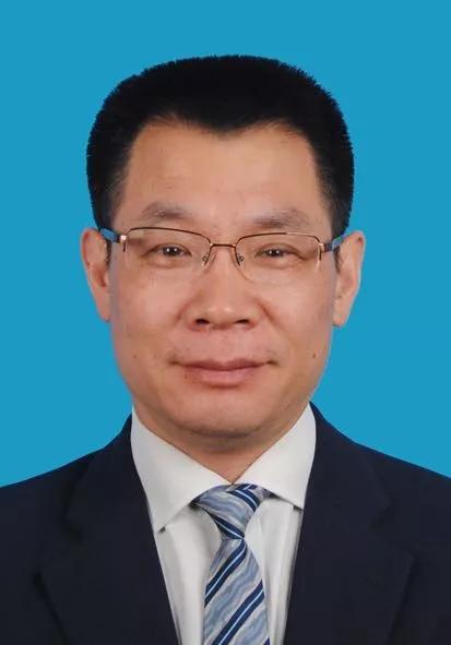 新奥2024年免费资料大全,可靠信息解析说明_钻石版93.1.33