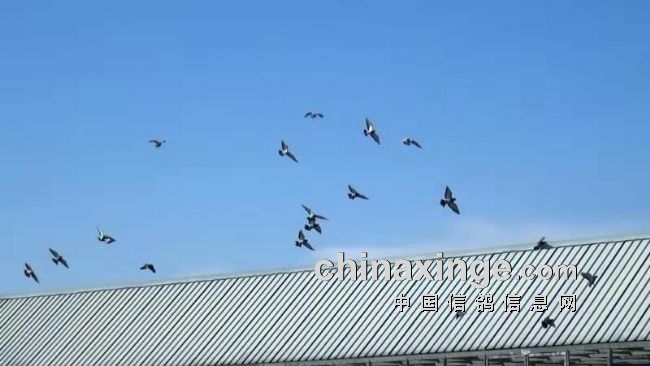 朔州天成电冶最新动态更新,最新消息汇总