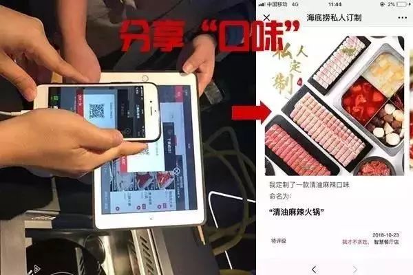 新奥门特免费资料大全火凤凰,实效性解析解读_专属款90.8.97